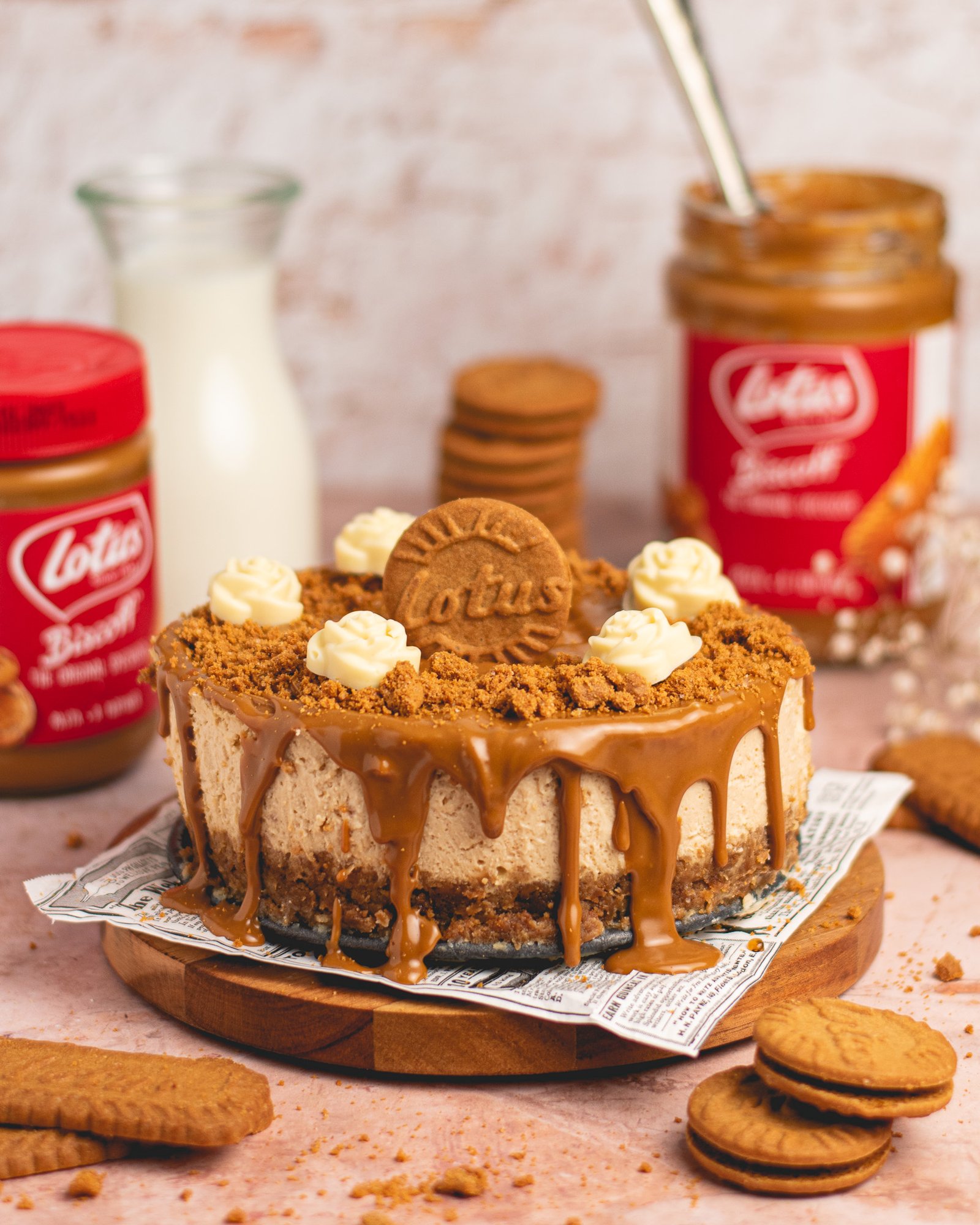 speculoos cheesecake recept