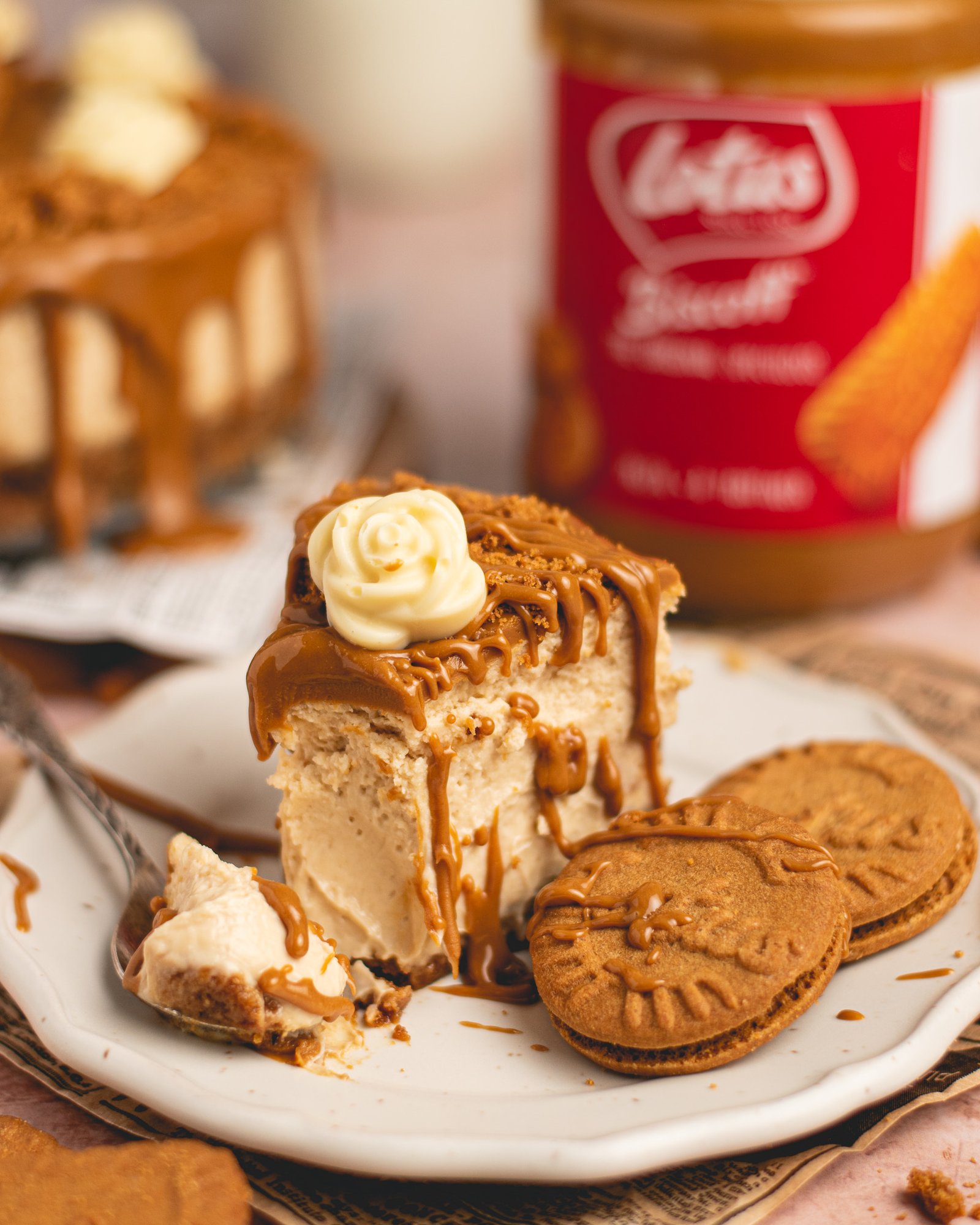 speculoos cheesecake recept